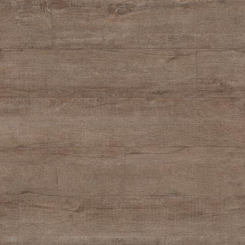 Timeless Impact - Homestead Golden Pasture