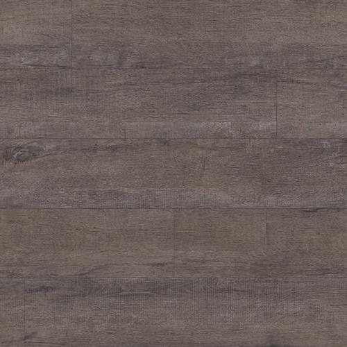 Timeless Impact - Homestead Silver Brush