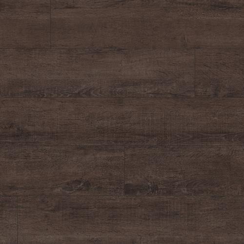 Timeless Impact - Homestead Country Night